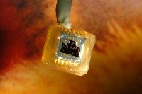 Photographs of a microscopic drug delivery chip made by Stewart Smith as part of an industrial project in 2003.  Reference: http://www.see.ed.ac.uk/news/Archive/news061.html / http://www.see.ed.ac.uk/research/IMNS/projects/MEMS/DD/DD.html / http://news.bbc.co.uk/1/hi/scotland/edinburgh_and_east/7256679.stm.  7 images.